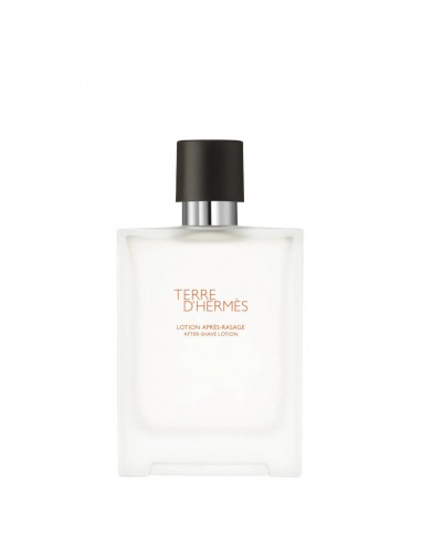 HERMES_TERRE_D_HERMES_LOTION_APR_1623861100_0.jpg