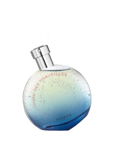 Hermès L'Ombre Des...