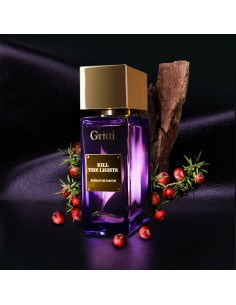 Gritti_Venetia_Kill_The_Lights_E_1676033744_0.jpg 2