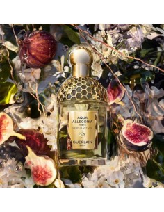 Guerlain_Aqua_Allegoria_Forte_Ne_1678445663_0.jpg 2