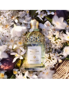 Guerlain_Aqua_Allegoria_Harvest__1678447592_0.jpg 2