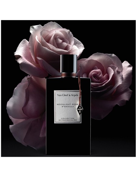 Van_Cleef_Arpels_Moonlight_Rose__1678904686_1.jpg