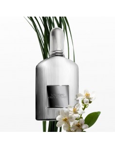 Tom_Ford_Grey_Vetiver_Parfum_1688036872_0.jpg 2