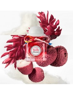 Hermes_Tutti_Twilly_D_Hermes_Eau_1693485113_0.jpg 2