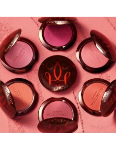 Guerlain Terracotta Blush 2