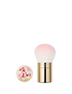 Guerlain_Meteorites_Powder_Blush_1712056729_0.jpg