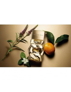 Michael_Kors_Pour_Femme_Eau_De_P_1713439725_0.jpg 2