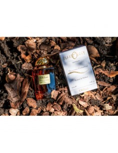 Olfattology_Olifant_Extrait_De_P_1700241111_0.jpg 2