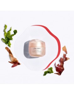 Shiseido_Benefiance_Wrinkle_Smoo_1716026093_0.jpg 2