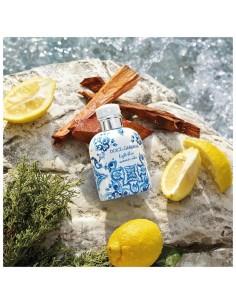 Dolce_Gabbana_Light_Blue_Pour_Ho_1716975729_0.jpg 2