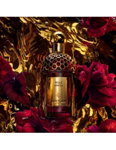 Guerlain_Absolus_Allegoria_Rose__1726830001_0.jpg 2