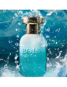 Bois_1920_Marasma_Extrait_De_Par_1732036439_0.jpg 2