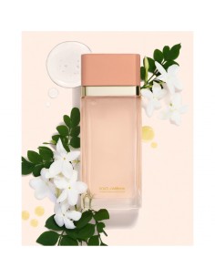 Dolce_Gabbana_Hydra-Dose_Ha_Boos_1747076462_0.jpg 2