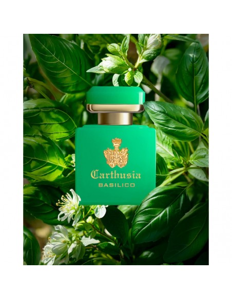 Carthusia_I_Profumi_Di_Capri_Int_1749553885_1.jpg