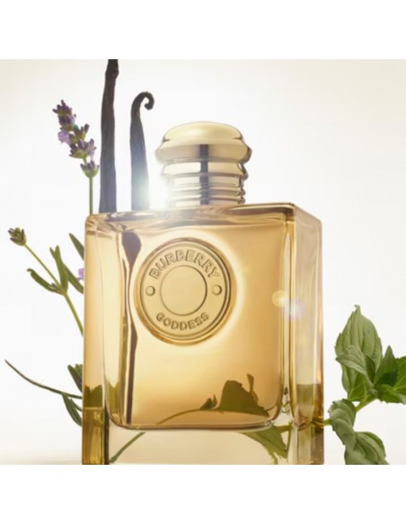 Burberry_Goddess_Parfum_-_Fragra_1756292344_1.jpg