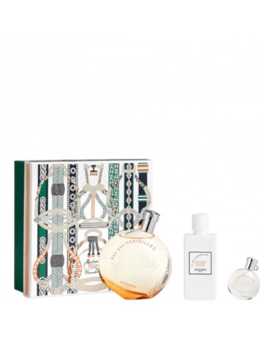 Hermes_Eau_Des_Merveilles_Eau_De_1762541982_0.jpg