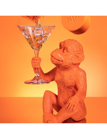 New_Notes_Cocktail_Maracuja_Extr_1772880542_2.jpg