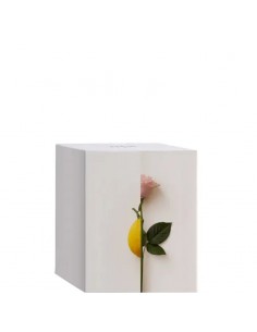 New_Notes_-_Rosa_Limone_Extrait__1772883104_0.jpg 2