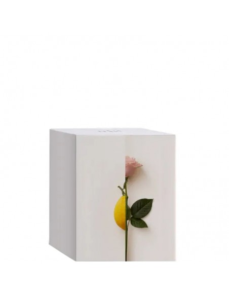 New_Notes_-_Rosa_Limone_Extrait__1772883107_1.jpg
