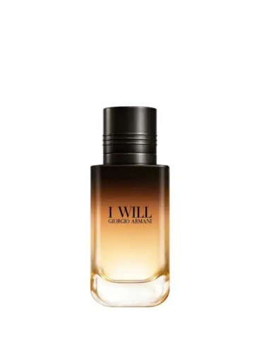 Giorgio_Armani_I_Will_Eau_De_Par_1785154772_0.jpg