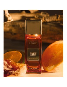 Gritti_Venetia_Yasuni_Amber_Extr_1789466517_0.jpg 2