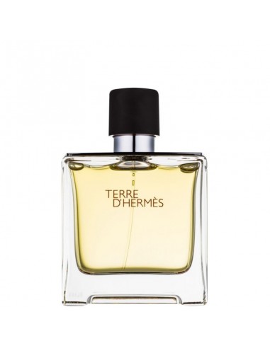 HERMES_TERRE_D_HERMES_EAU_DE_PAR_1623866314_0.jpg