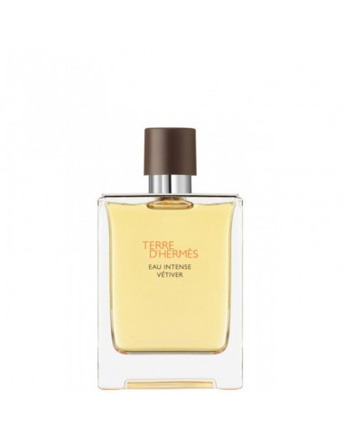 HERMES_TERRE_D_HERMES_EAU_INTENS_1623865493_0.jpg