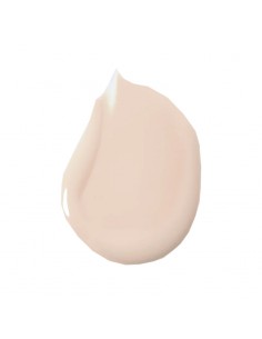 ESTEE LAUDER FONDOTINTA... 2